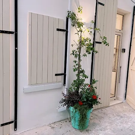 Leas Santorini, 006 דרמי